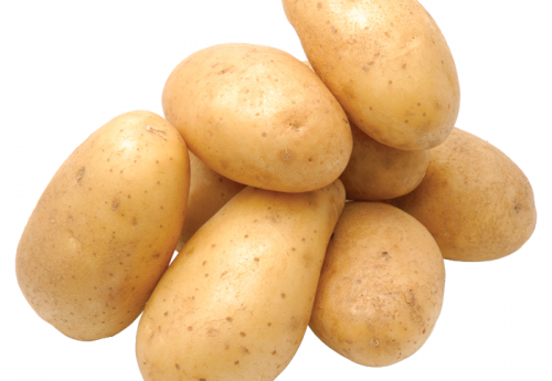 Potato