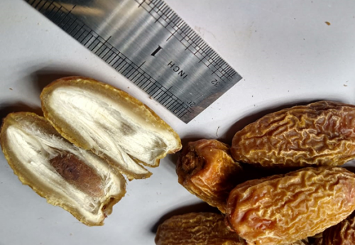 dryfruit8